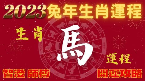 兔 運勢|【2023兔年生肖運程】十二生肖整體運勢＋兔年開運。